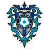Avispa Fukuoka crest