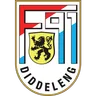 F91 Dudelange crest
