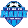 FK Radnik Surdulica crest