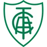 America MG crest