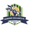 Marumo Gallants crest