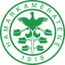 HamKam crest
