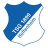 Hoffenheim crest