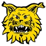 Ilves crest