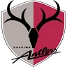 Kashima Antlers crest