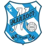 Mladost Lučani crest