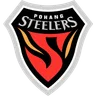 Pohang Steelers crest