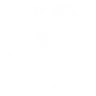 Randers FC crest