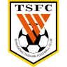 Shandong Taishan crest