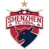 Shenzhen crest
