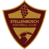 Stellenbosch FC crest