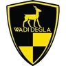 Wadi Degla FC crest