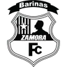 Zamora FC crest