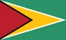 Guyana flag