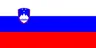 Slovenia flag